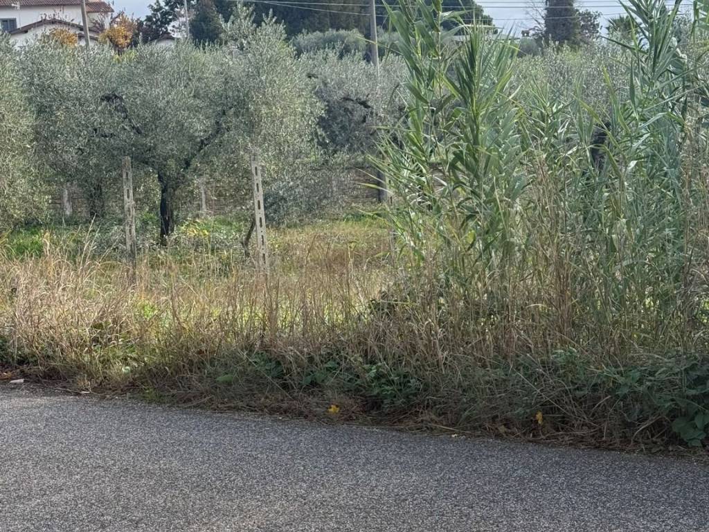 immagine annuncio 2 di 4