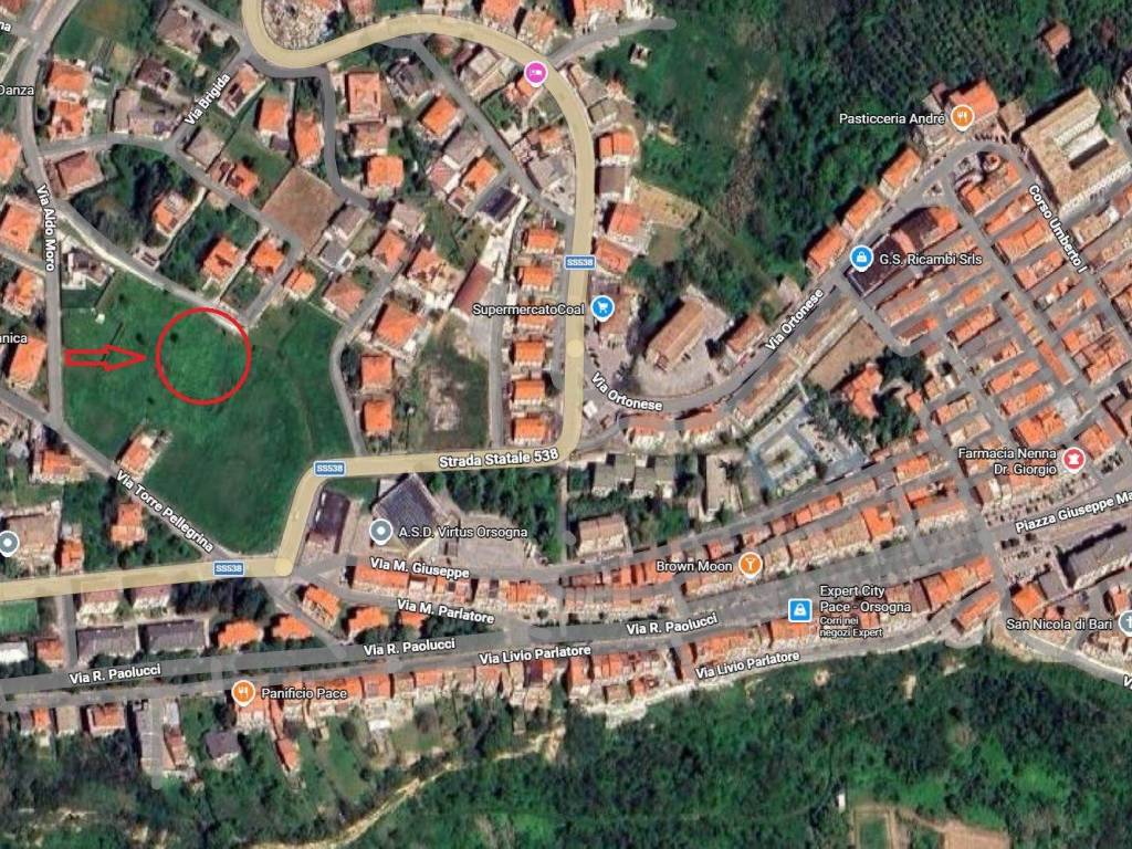 terreno agricolo in vendita ad Orsogna