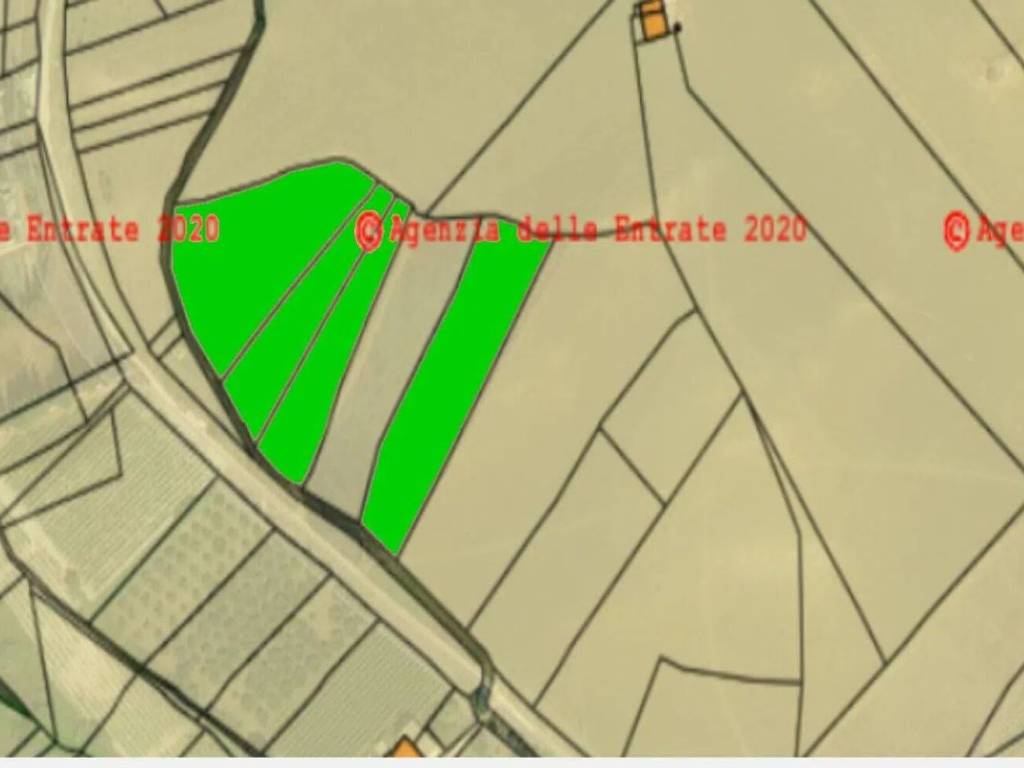 immagine annuncio 1 di 3