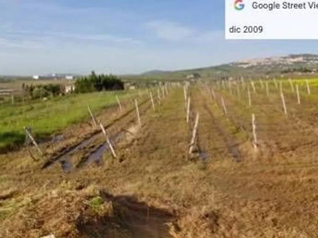 immagine annuncio 2 di 3