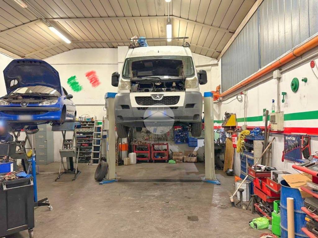 immagine annuncio 2 di 5