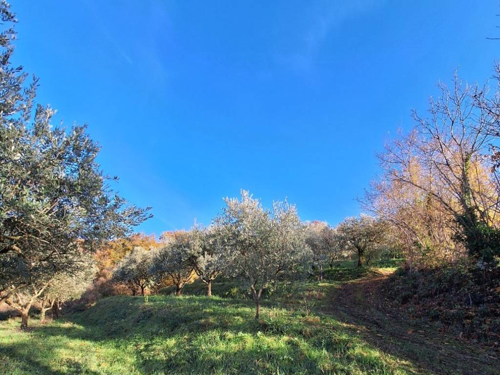 immagine annuncio 3 di 4