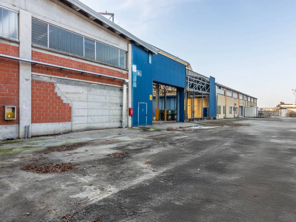 immagine annuncio 2 di 5