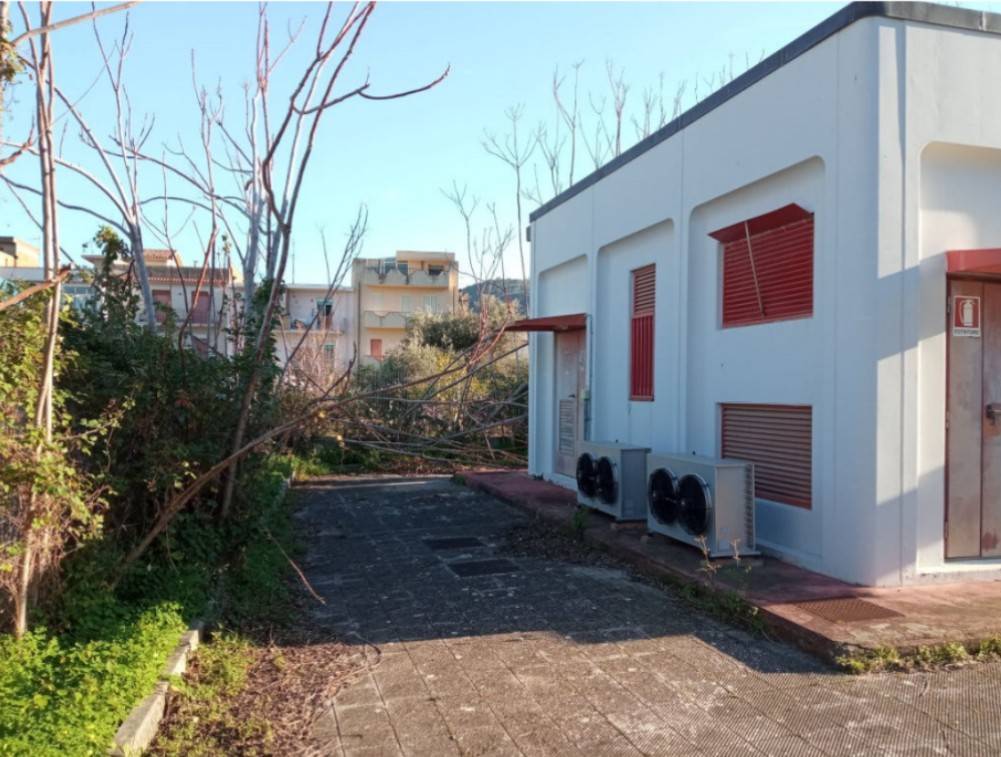 immagine annuncio 2 di 4