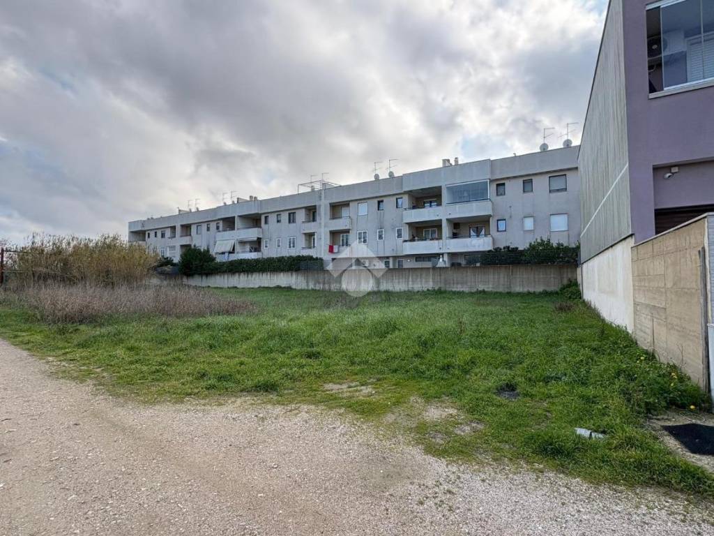 immagine annuncio 1 di 3