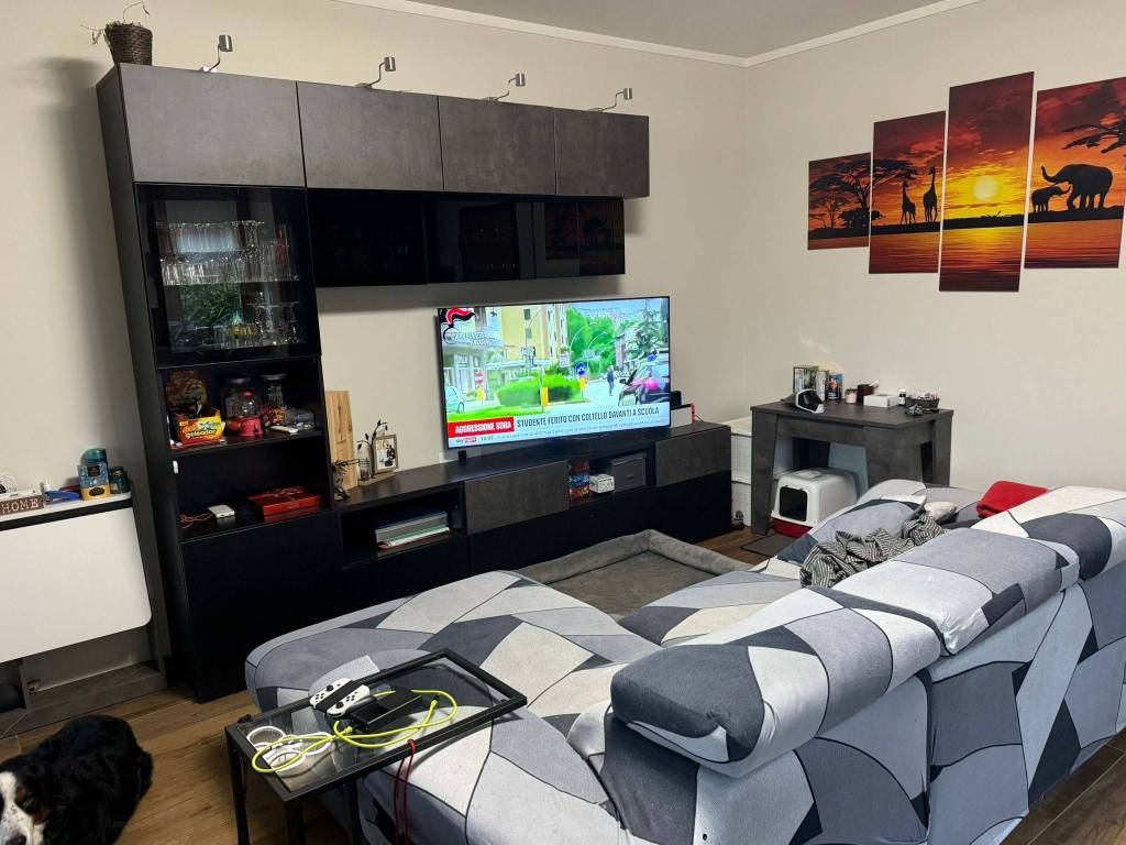 immagine annuncio 2 di 5