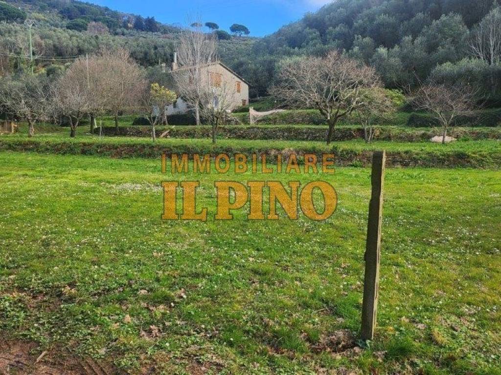 immagine annuncio 1 di 3