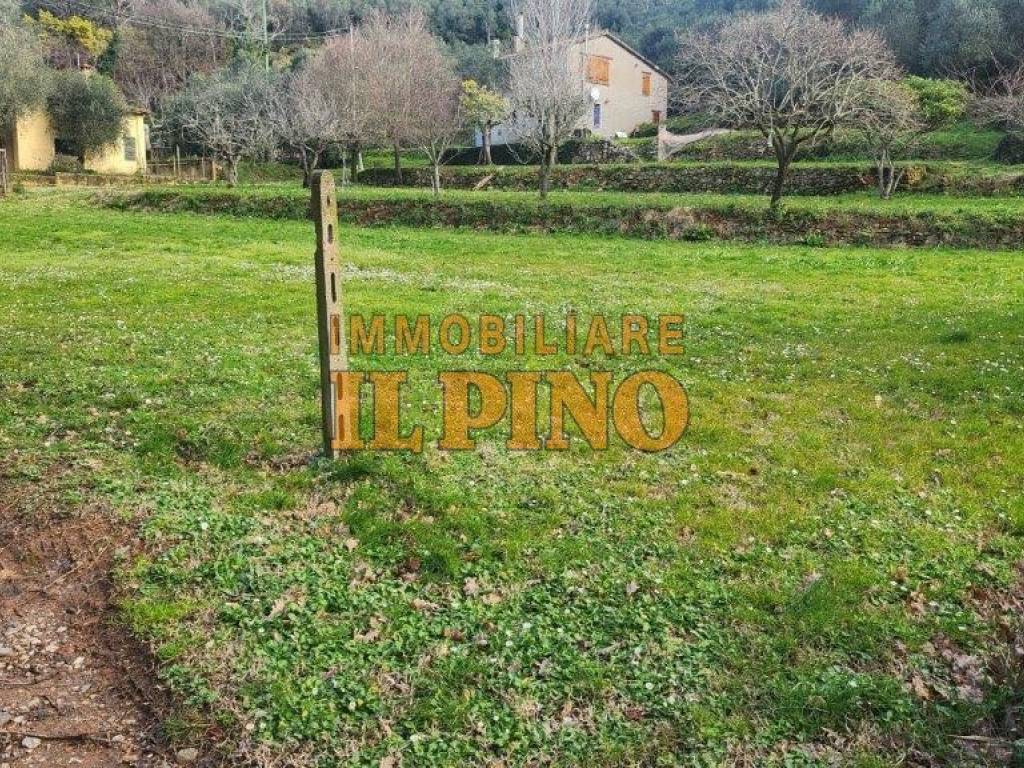 immagine annuncio 2 di 3