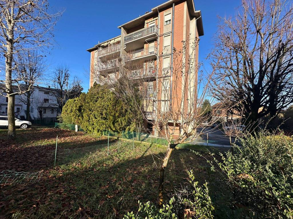 immagine annuncio 2 di 5