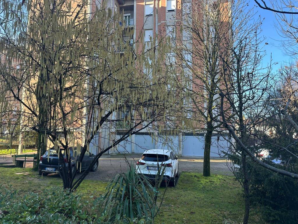 immagine annuncio 3 di 5