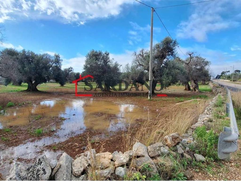 immagine annuncio 2 di 4