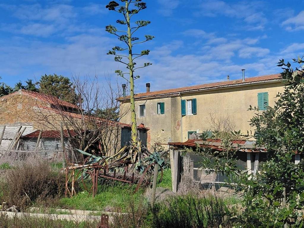 appartamento in vendita a Scansano in zona Pomonte