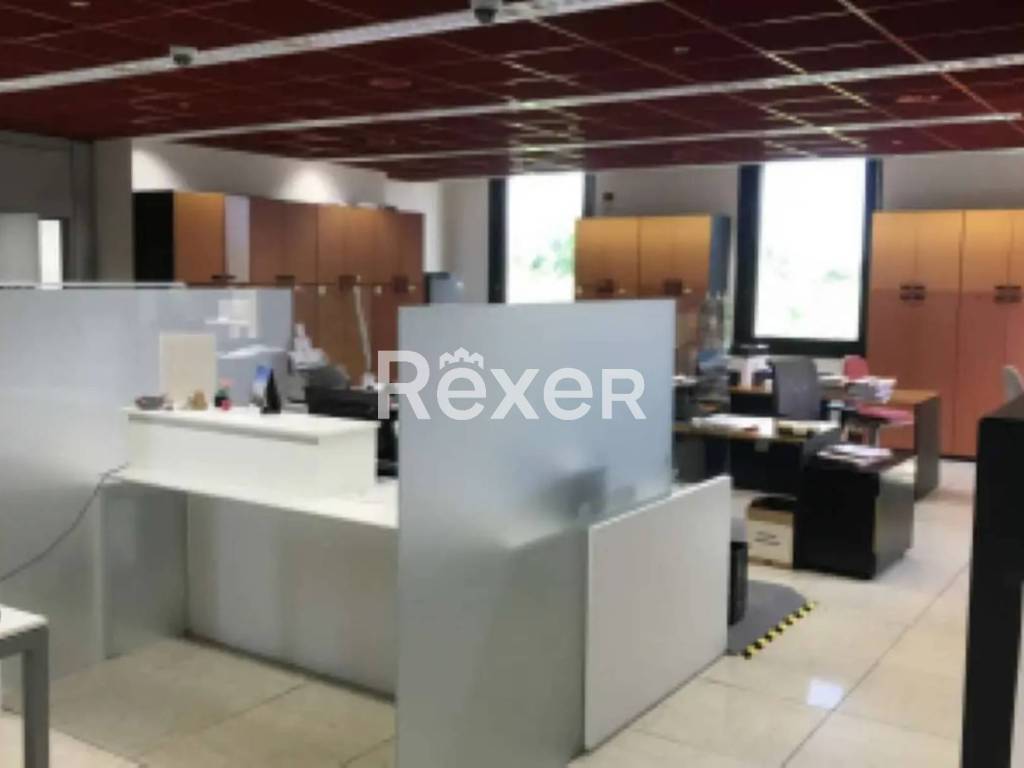 immagine annuncio 2 di 4