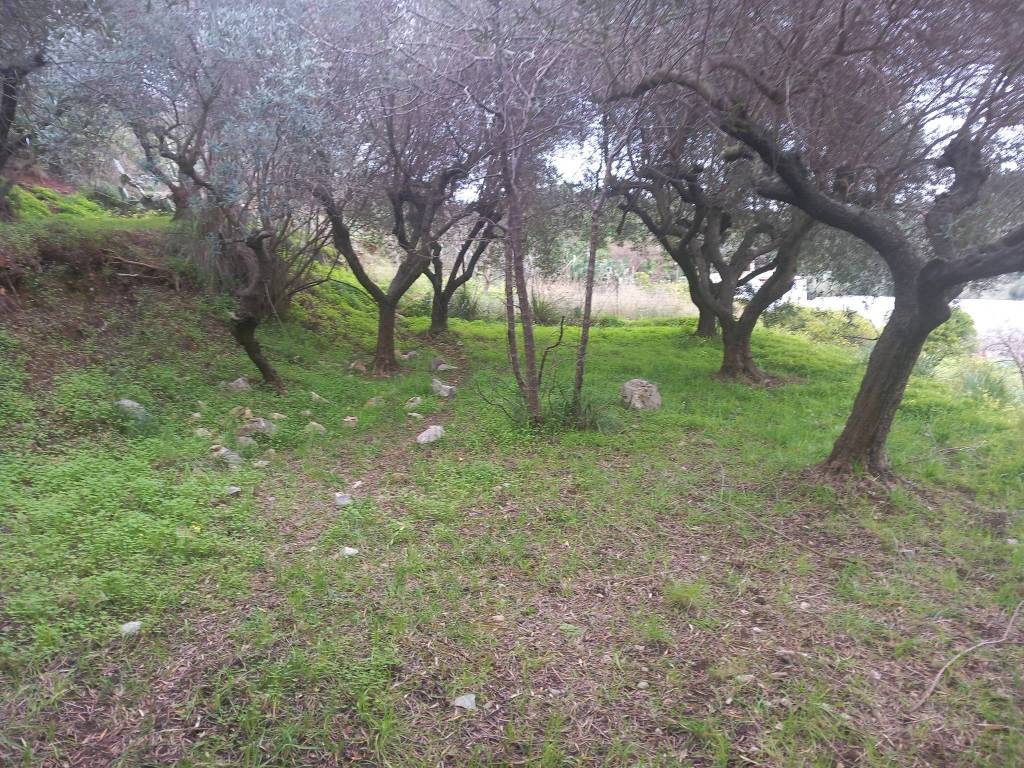 immagine annuncio 2 di 4