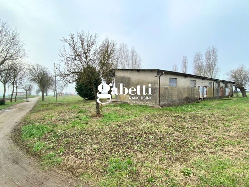 immagine annuncio 1 di 2