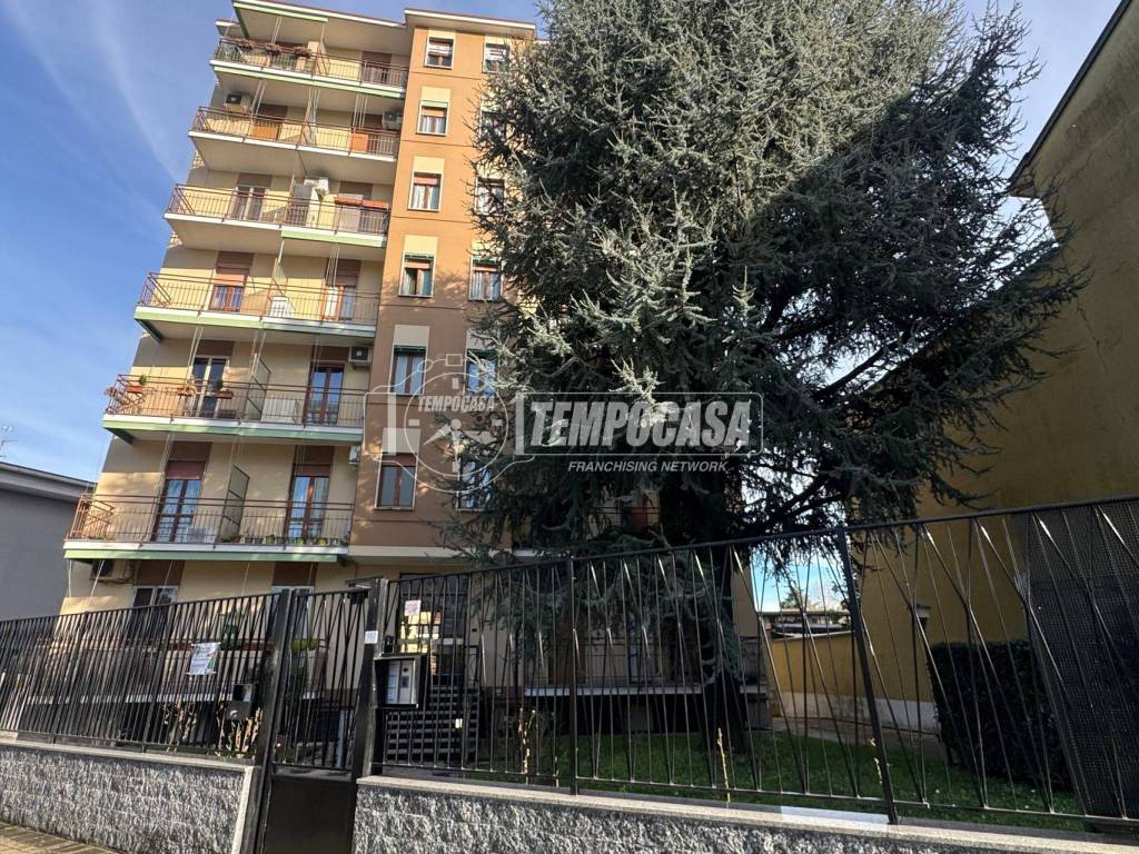 appartamento in vendita a Cologno Monzese