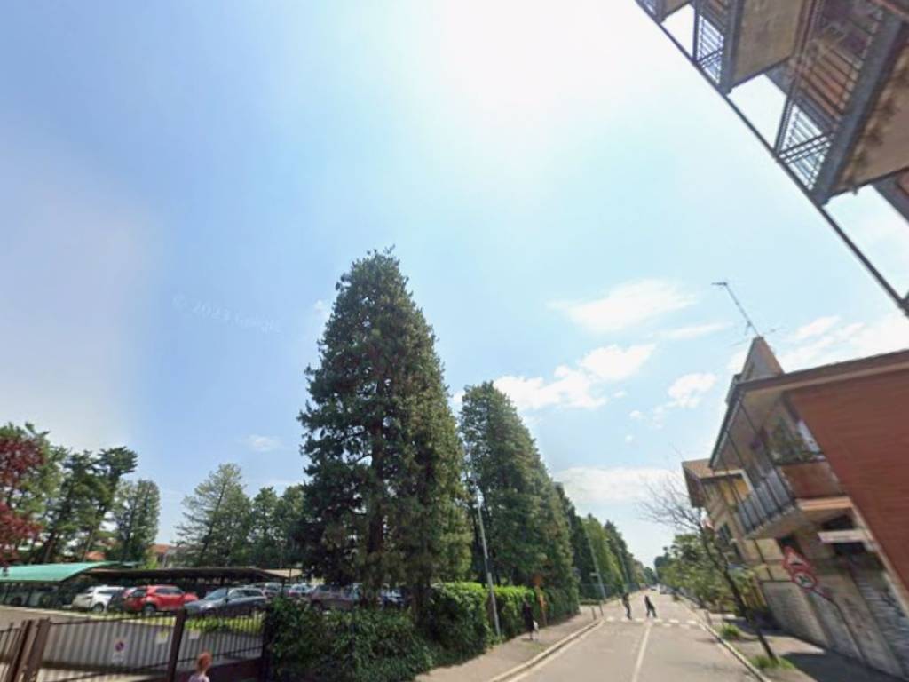 immagine annuncio 1 di 3