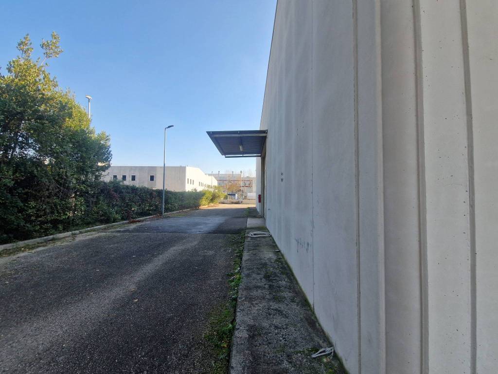 immagine annuncio 4 di 5