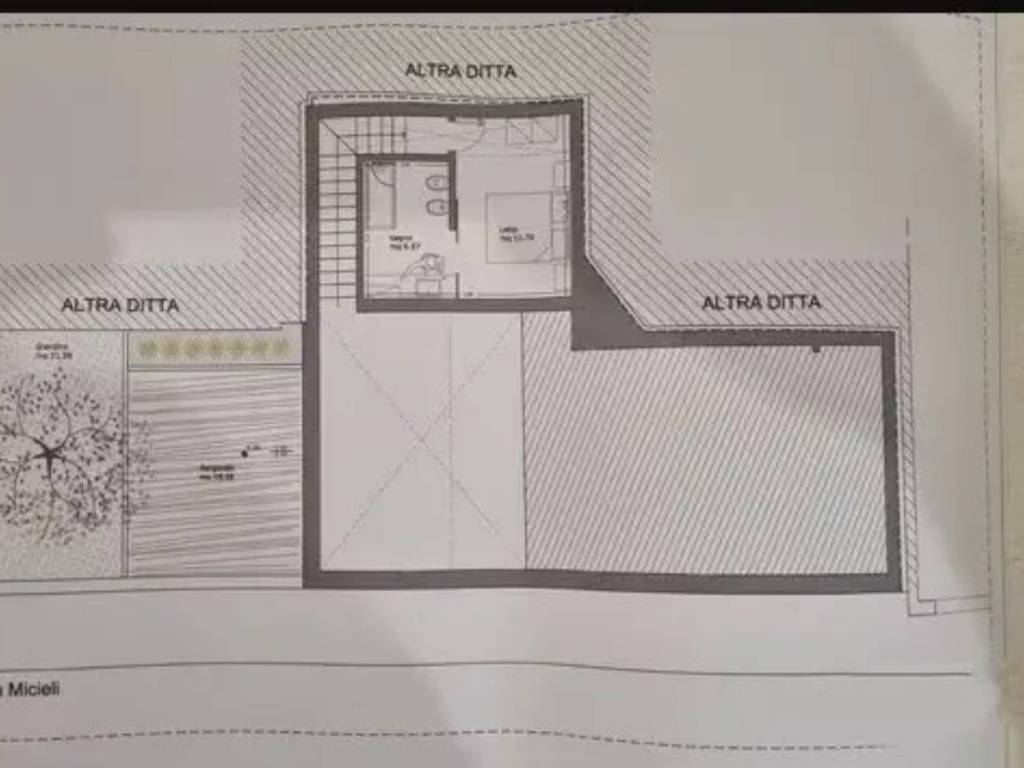 immagine annuncio 2 di 5