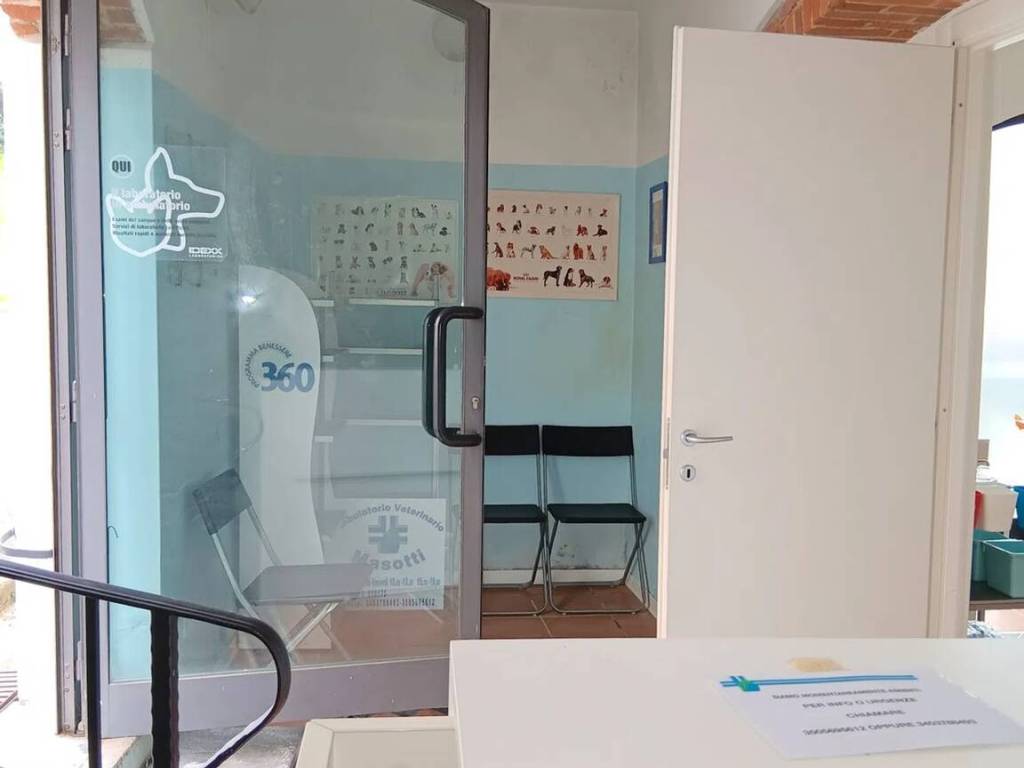 immagine annuncio 2 di 5