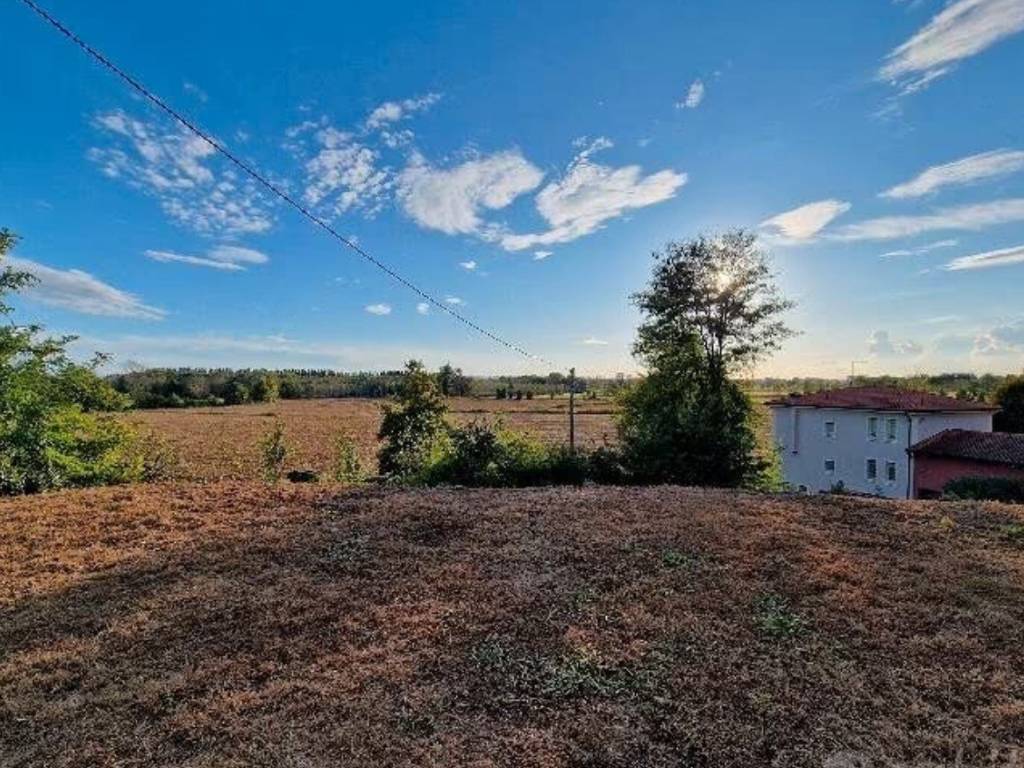 immagine annuncio 1 di 2