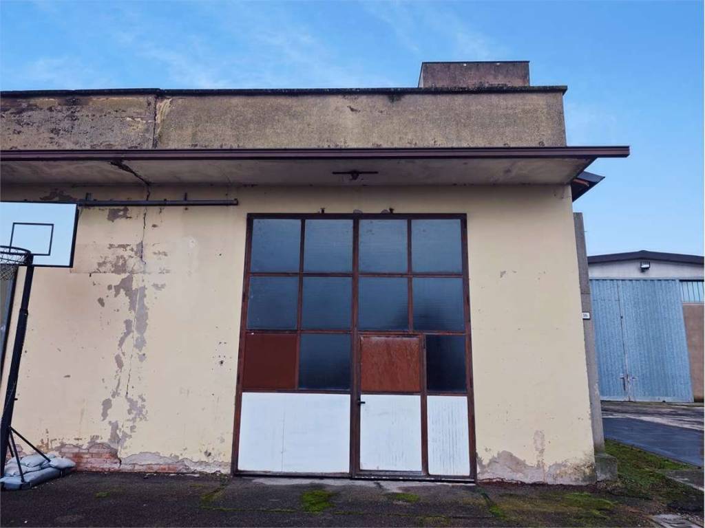 immagine annuncio 2 di 5