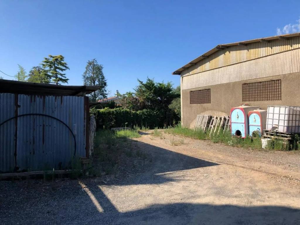 immagine annuncio 3 di 5