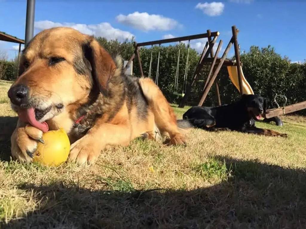 immagine annuncio 3 di 5