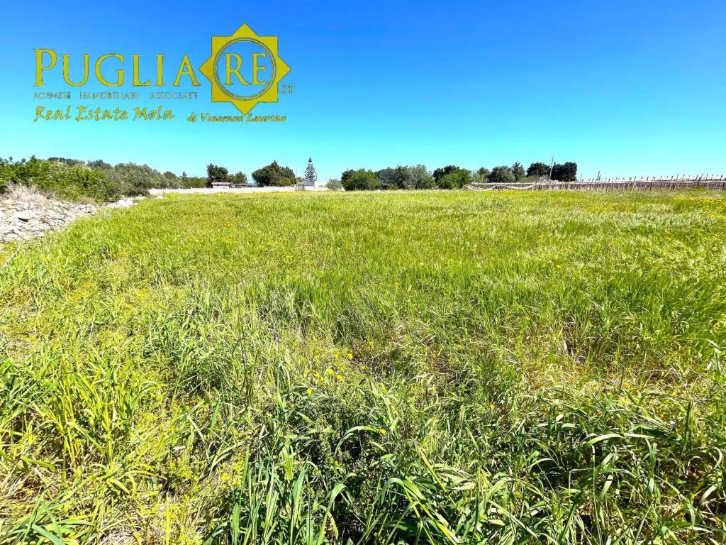 immagine annuncio 3 di 4