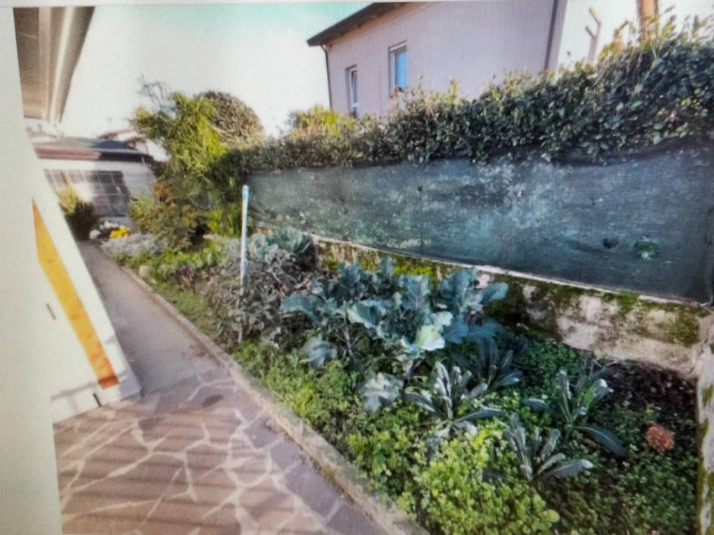 immagine annuncio 1 di 2