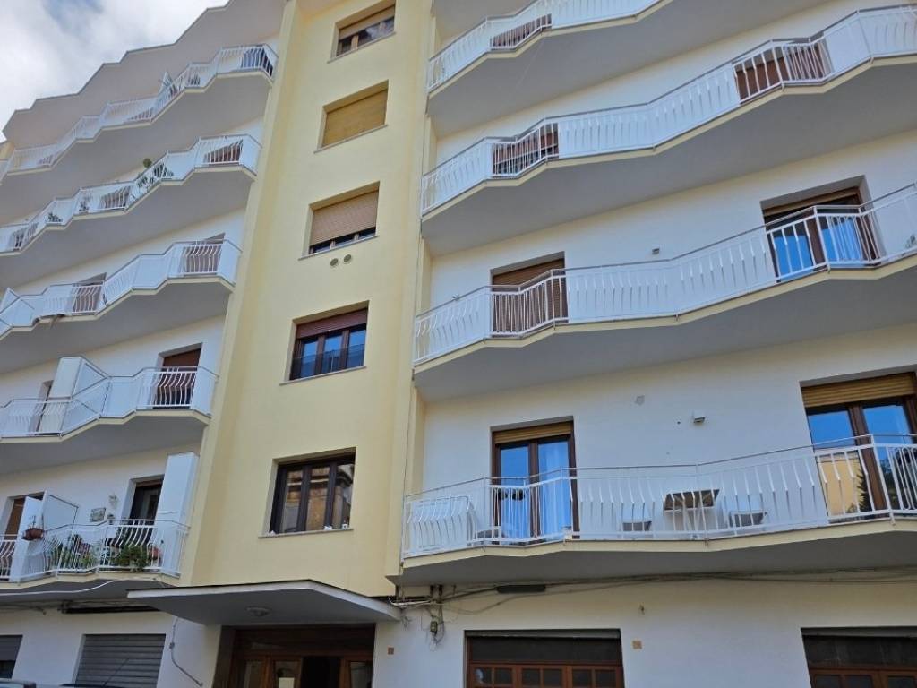 immagine annuncio 1 di 2