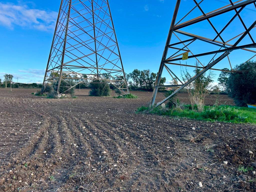 immagine annuncio 2 di 4