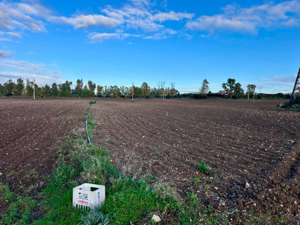 immagine annuncio 3 di 4