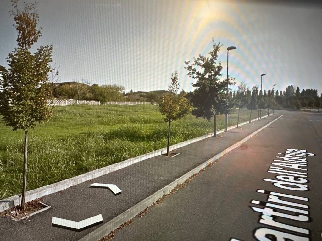 immagine annuncio 1 di 2