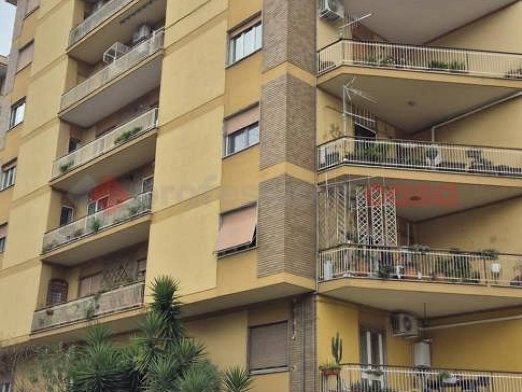 appartamento in affitto a Frosinone