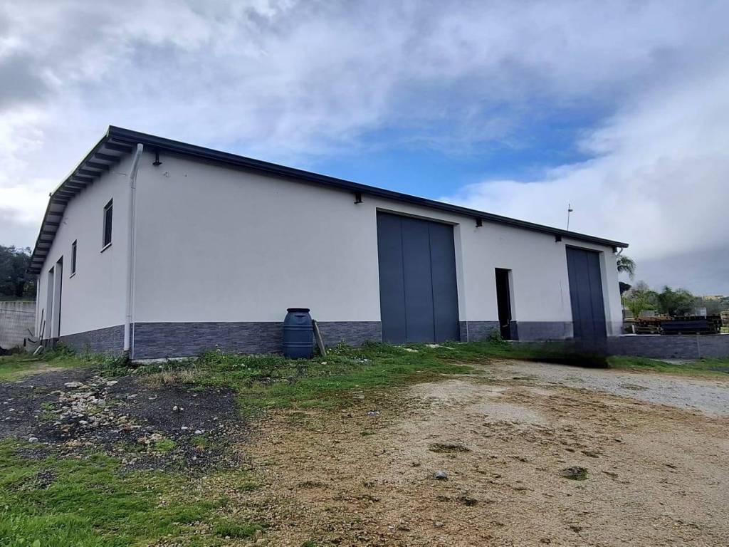 immagine annuncio 1 di 2