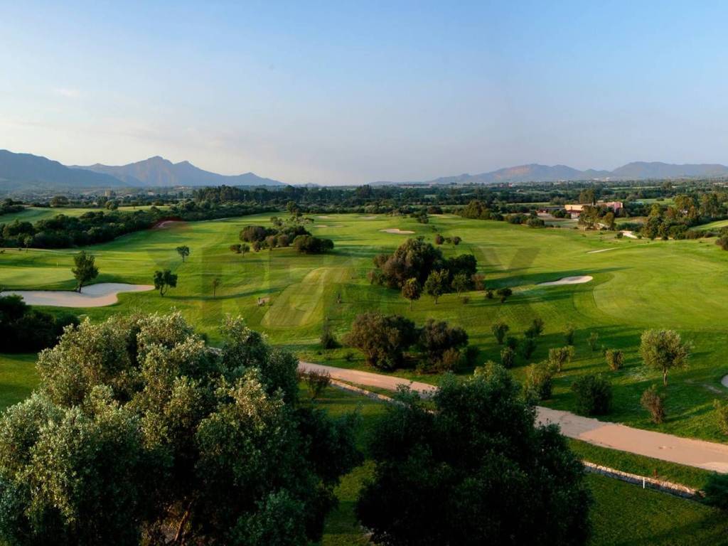 terreno agricolo in vendita a Pula