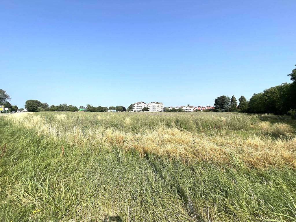 immagine annuncio 2 di 4