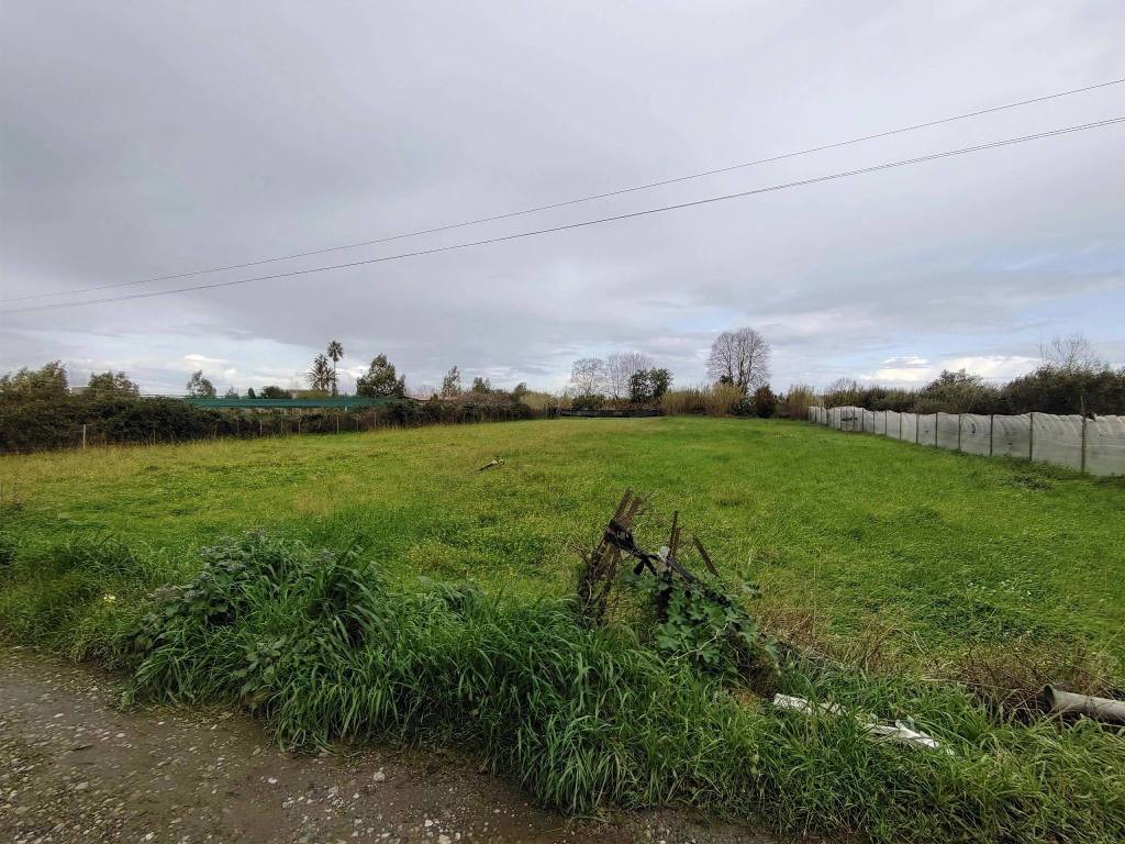 immagine annuncio 1 di 4