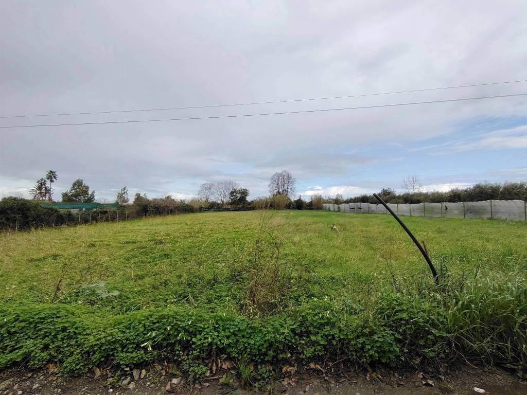 immagine annuncio 2 di 4