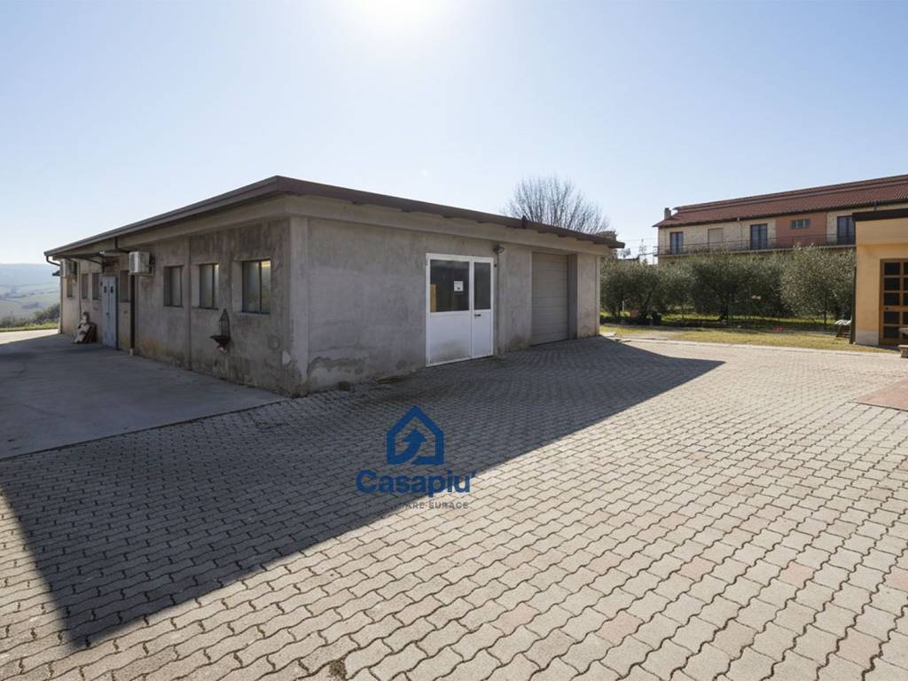 immagine annuncio 4 di 5