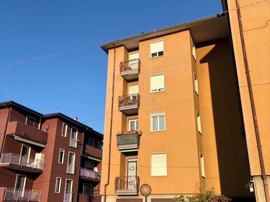 immagine annuncio 3 di 5