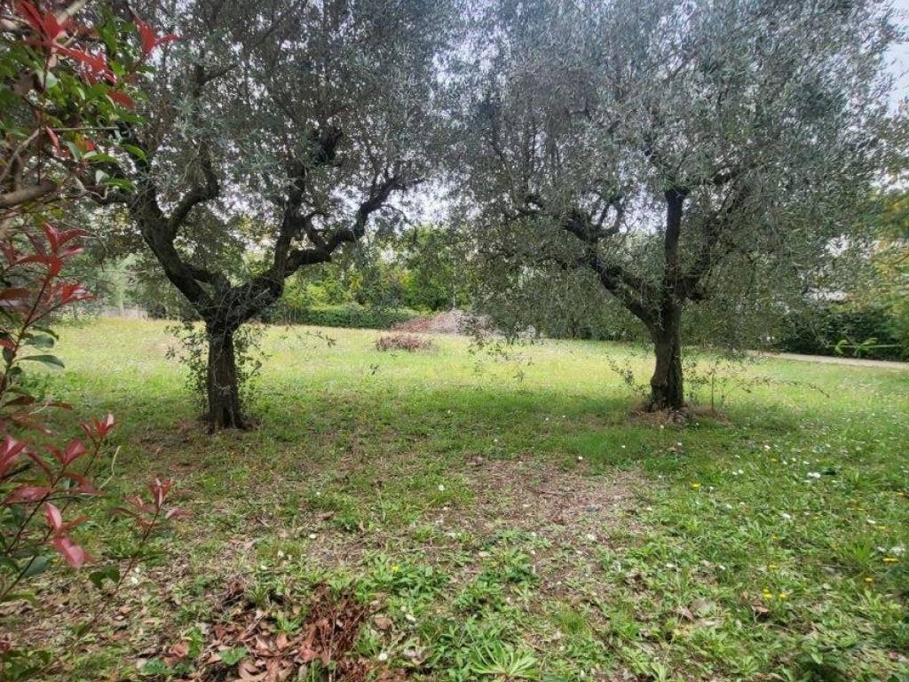 immagine annuncio 1 di 2