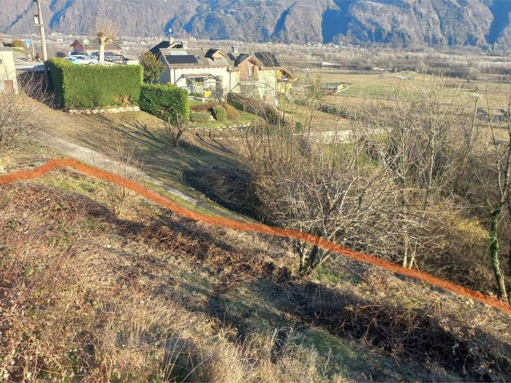 immagine annuncio 4 di 5