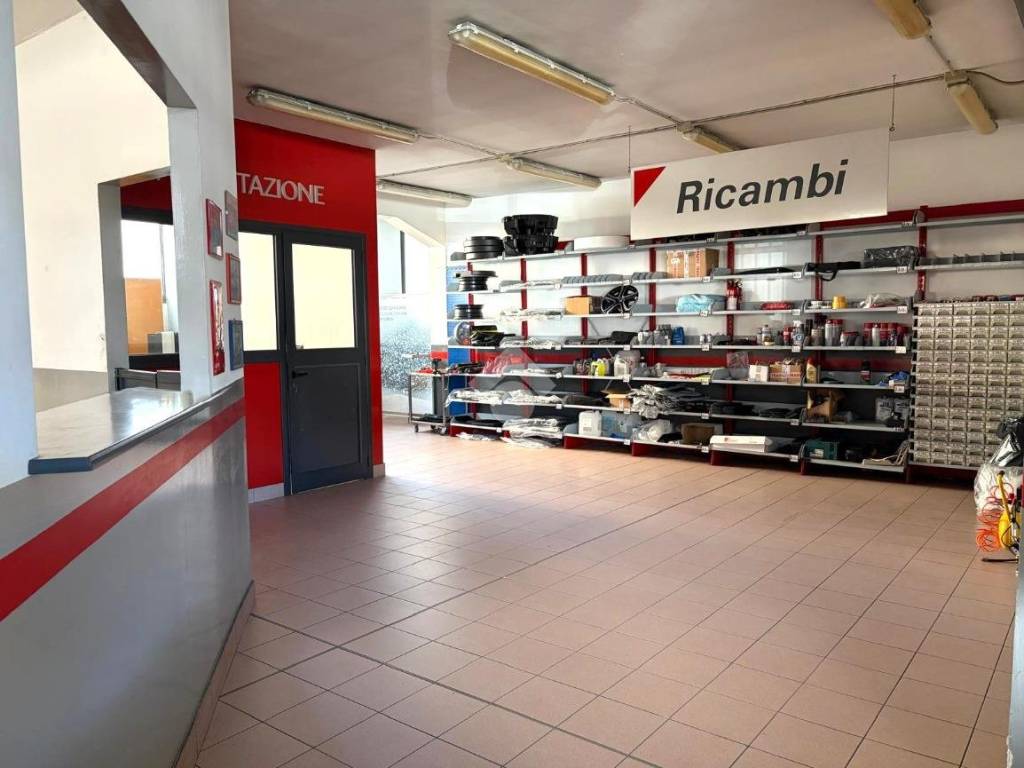 immagine annuncio 3 di 5