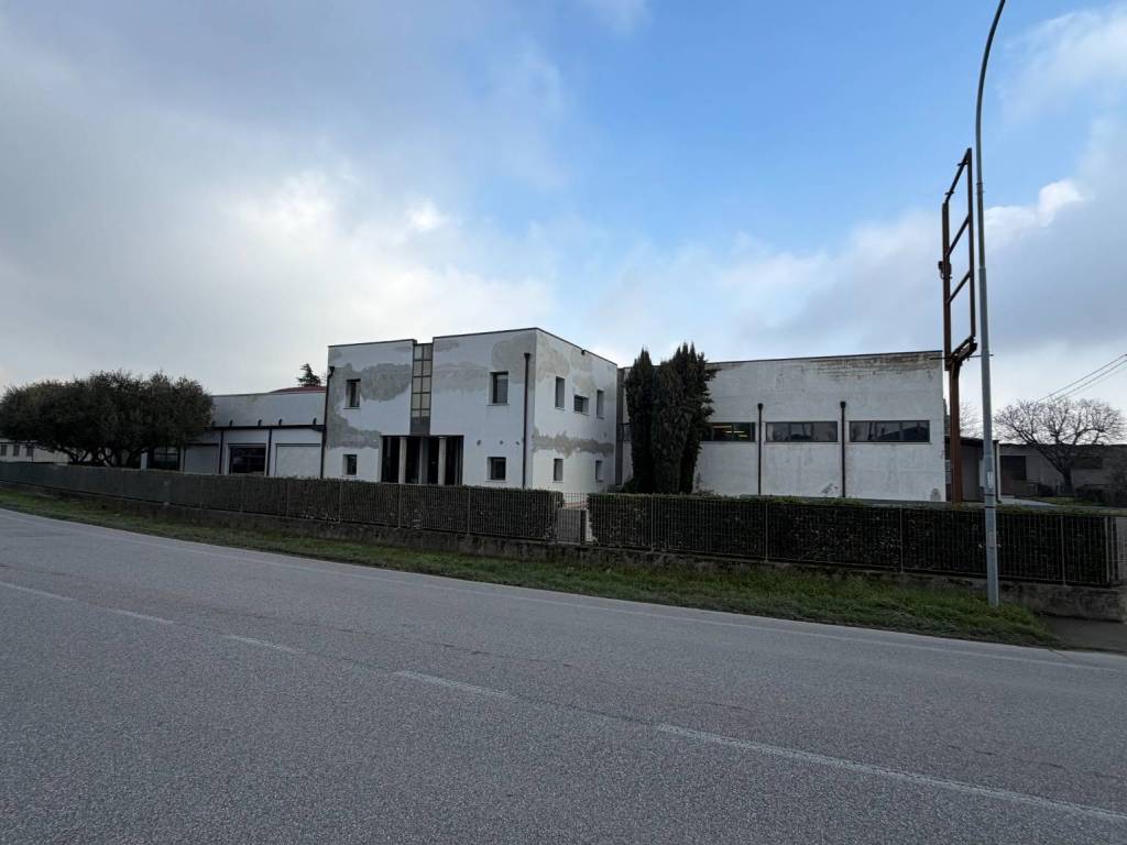 immagine annuncio 1 di 4