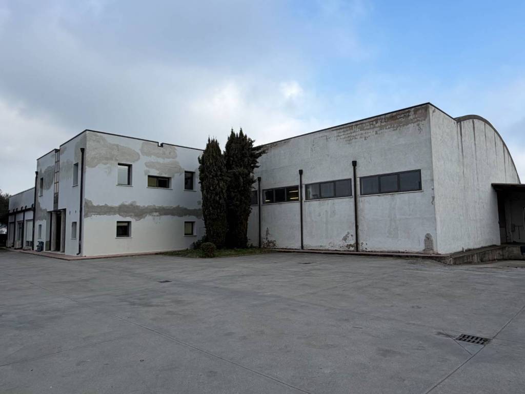 immagine annuncio 2 di 4