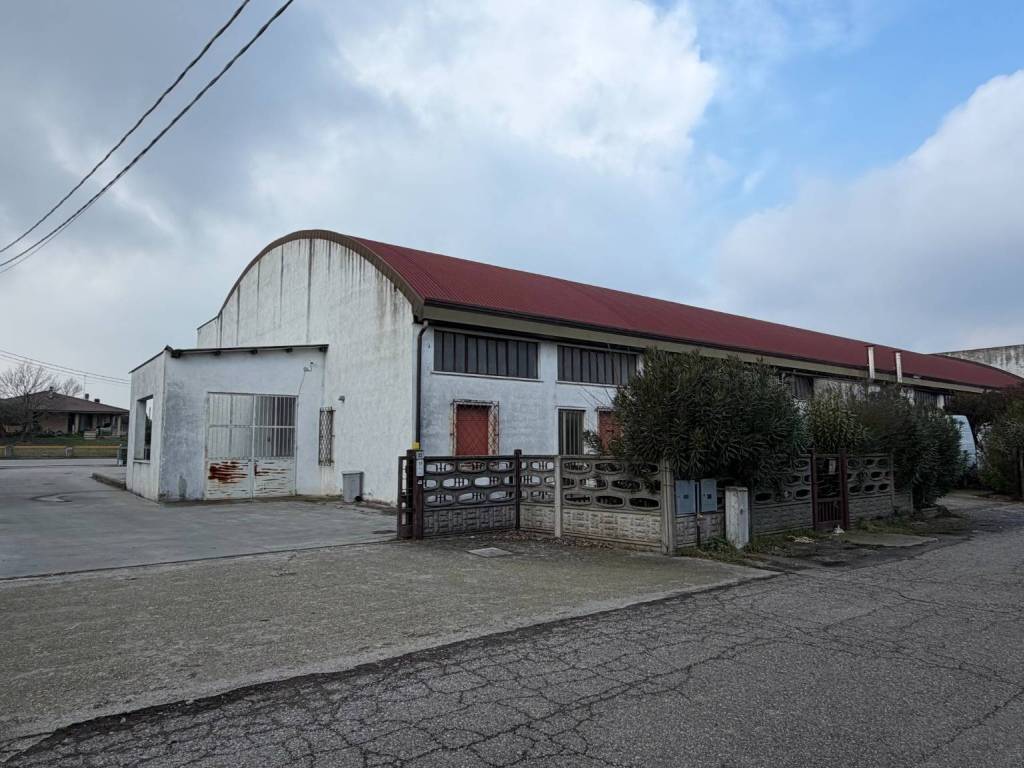 immagine annuncio 3 di 4