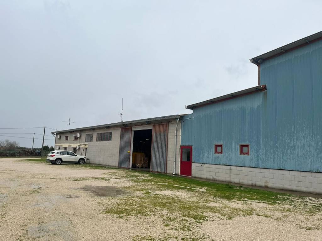 immagine annuncio 4 di 5