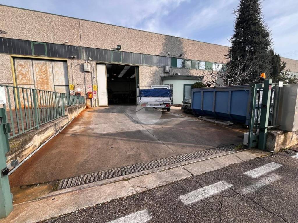 immagine annuncio 2 di 5